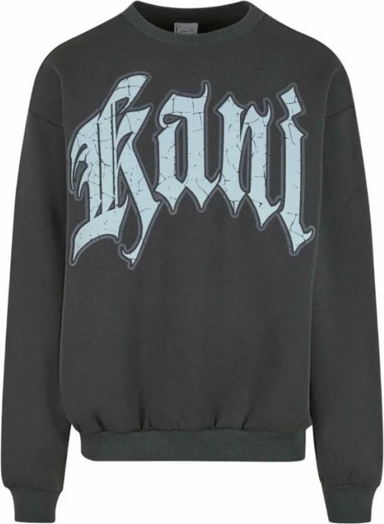 Duks za moške Karl Kani, siv