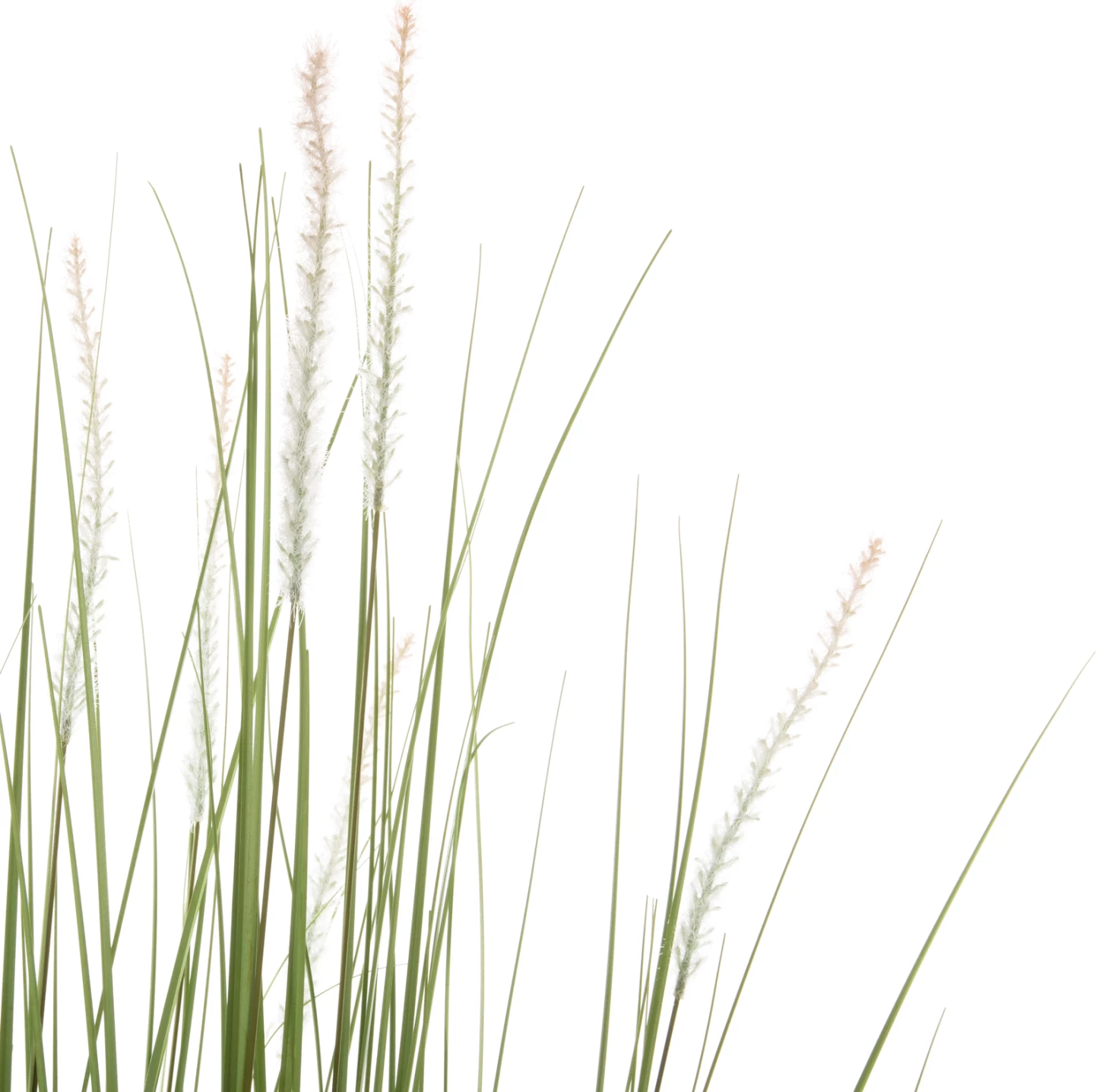 Dekorativna sintetična rastlina v loncu FH4017 bristlegrass 173Hcm, set