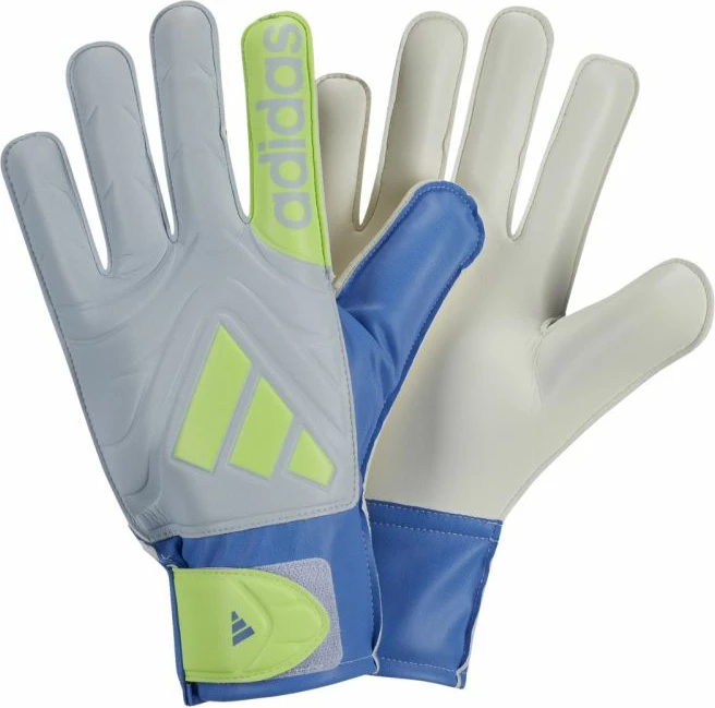 Rokavice za vratarja adidas Copa Club, moške, modre