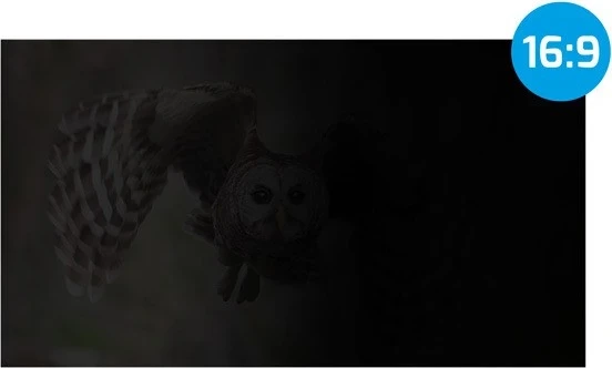 Filtr za zasebnost 21,5" 16:9 Natec Owl