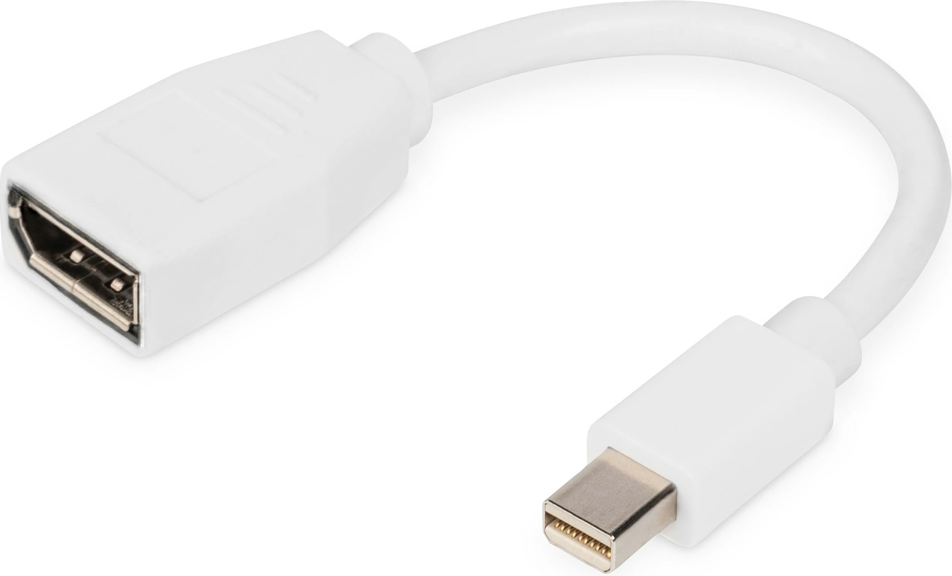 Adapter kabel mini DisplayPort v DisplayPort, Digitus, 0,15 m, bel