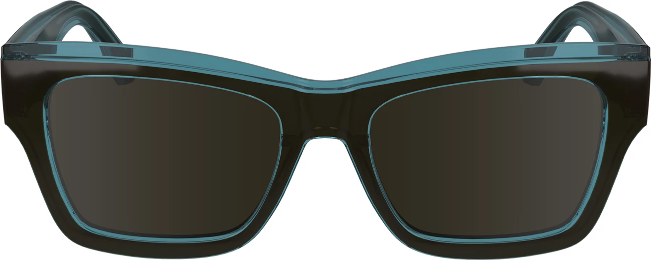 Sončna očala za moške Calvin Klein, rjava