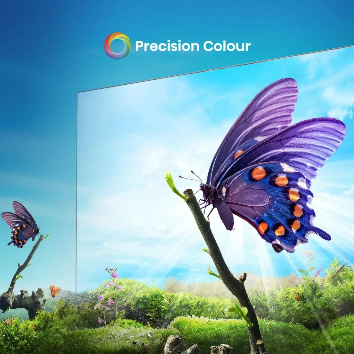 Televizor Hisense 65A6N, UHD 4K, Smart TV, Wi‑Fi, LED, črn