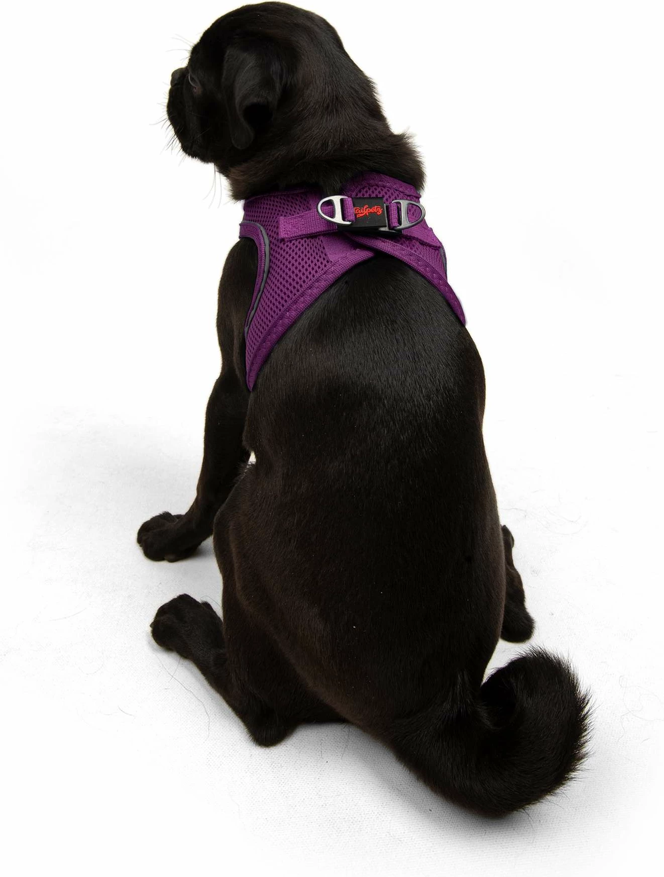 Oprsnica za psa Air-Mesh, vijolična, Paws & Whiskers