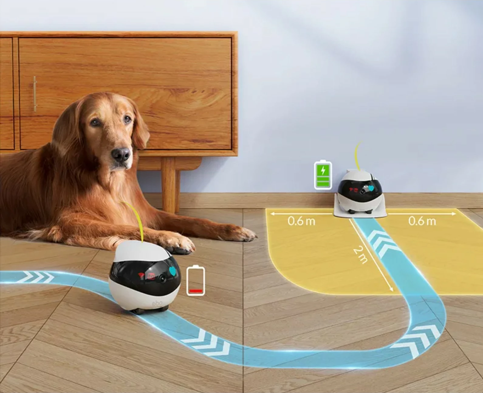 Robot za hišne ljubljenčke Enabot EBO Air, kamera 1080p, sledenje z AI, LiDAR, upravljanje z aplikacijo, bel