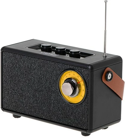 Prenosni Bluetooth zvočnik Camry CR1902, FM, USB-C, črn