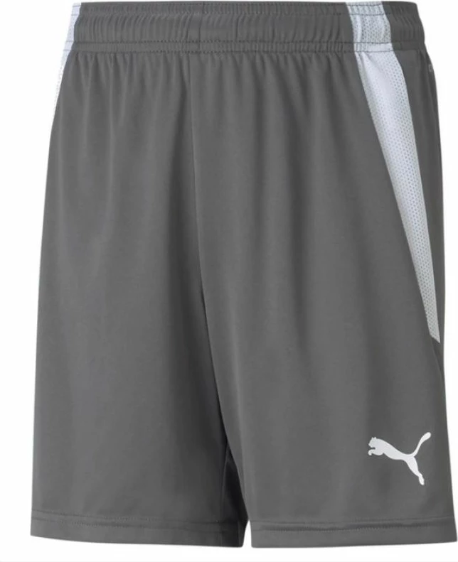Kratke hlače za otroke Puma, sive