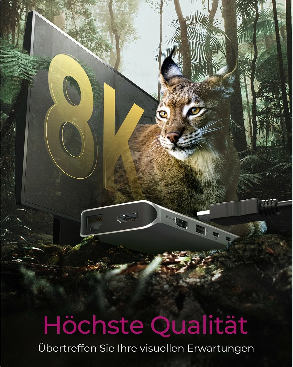 Docking postaja ICY BOX IB-DK4061-CPD, USB Type-C, 100W, HDMI, Ethernet, siva