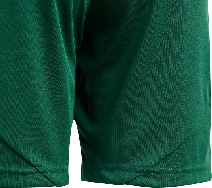 Športne kratke hlače za otroke adidas Tiro 24 Jr, zelene in bele