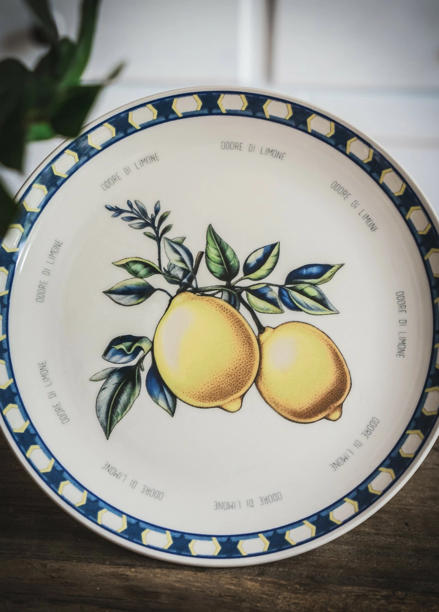 Set servisnih krožnikov za serviranje (6 kosov), Hermia Concept ODL0004, rumene barve