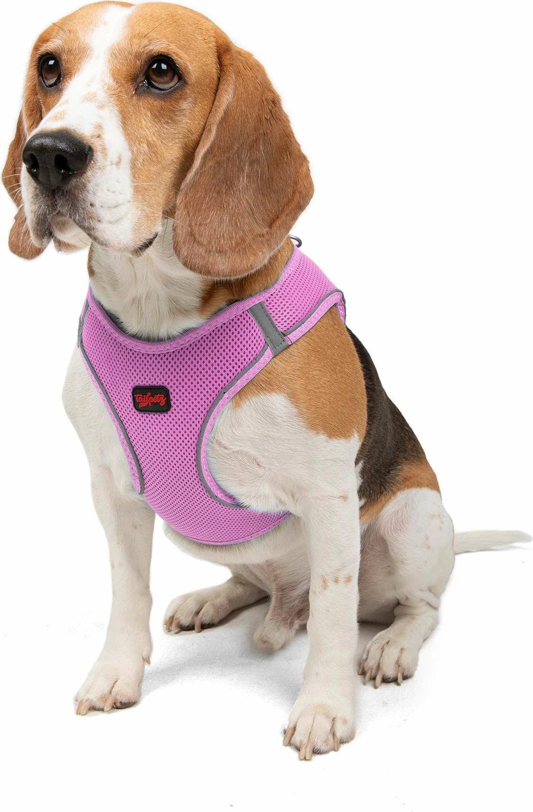 Oprsnik za psa, lilasto, Air-Mesh - Paws & Whiskers