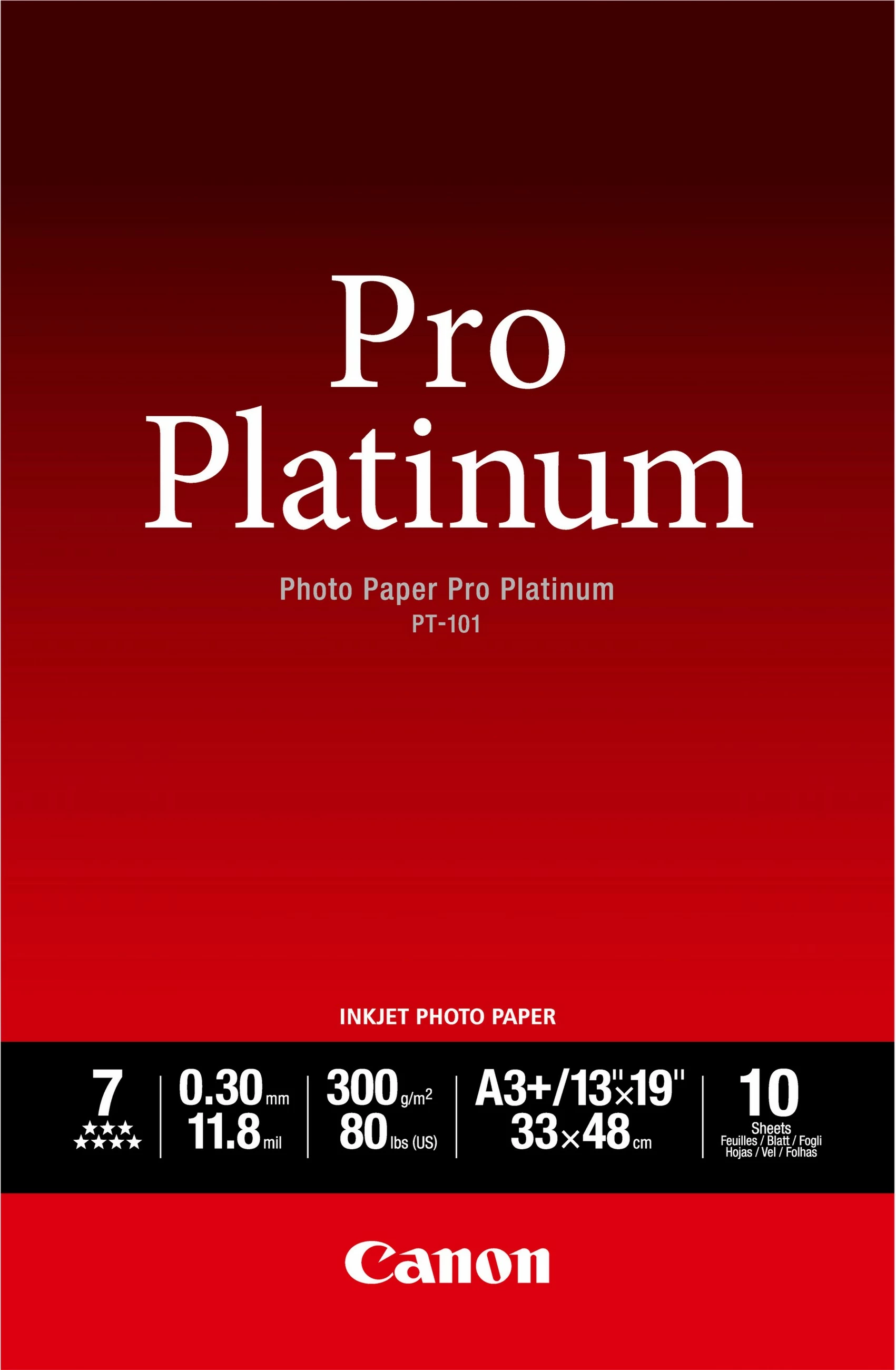 Fotografski papir Pro Platinum PT-101, A3+, 300 g/m², 10 listov