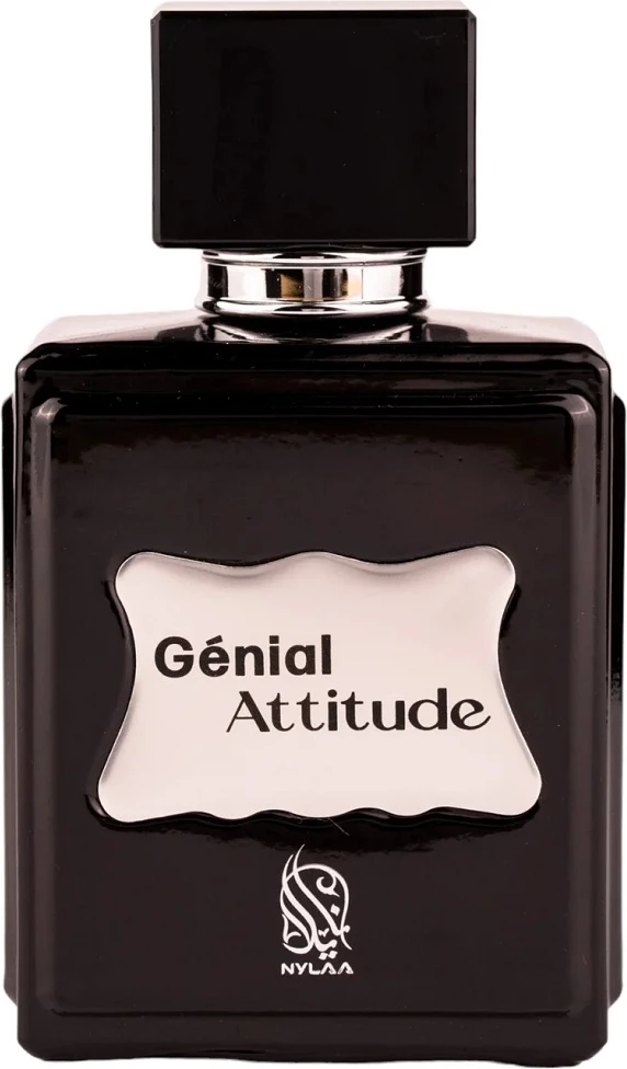 Eau de Parfum Genial Attitude Nylaa, 100 ml, moški