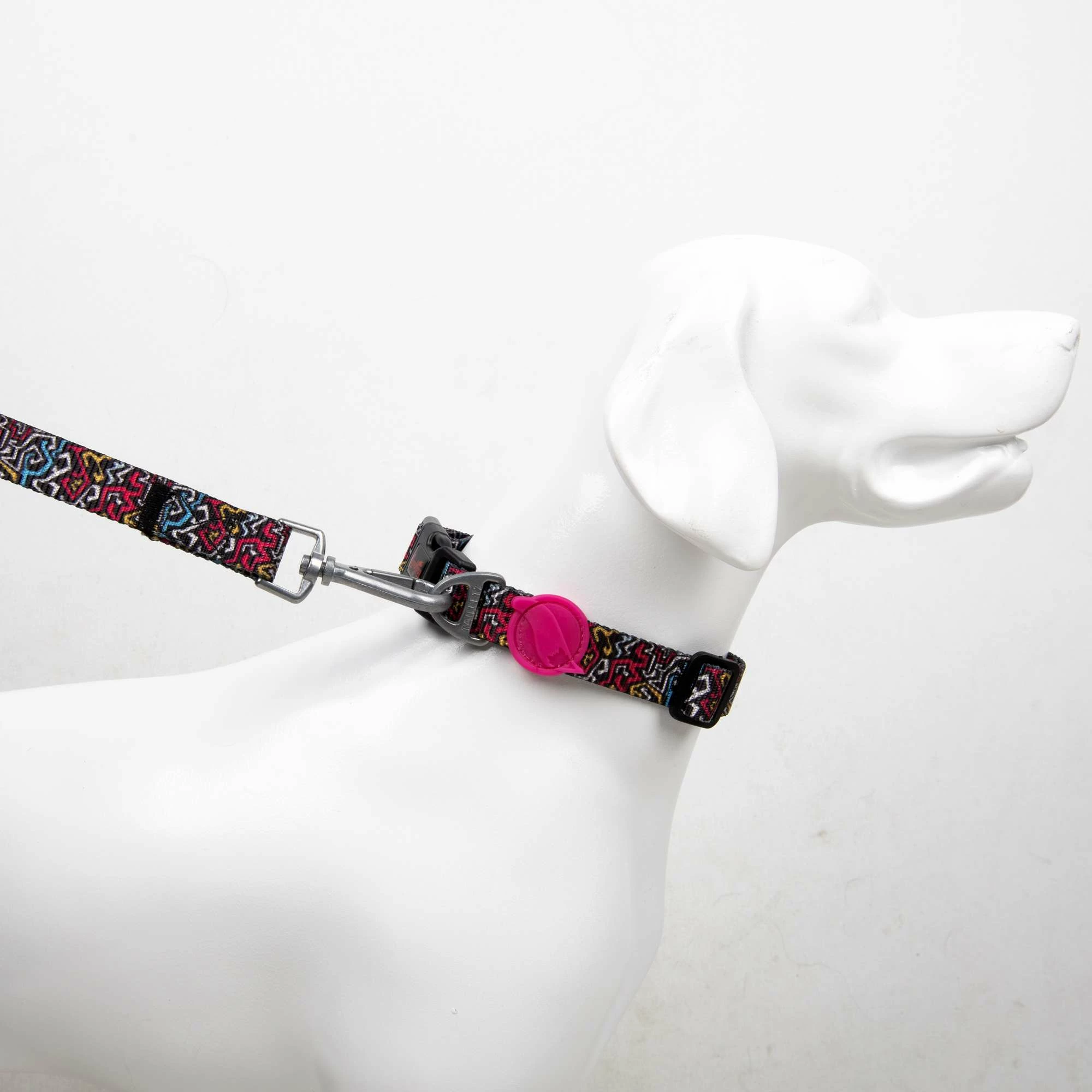 Ovratnik za psa, graffiti, pisan, Paws & Whiskers