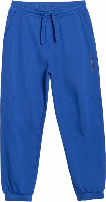 Široke hlače za fante 4F, modre