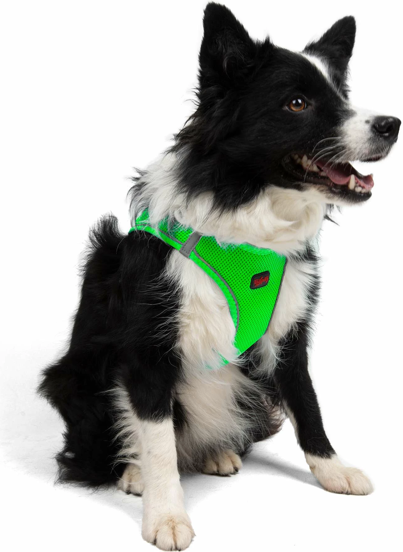 Oprsnica za psa Air-Mesh, Neo Green, Paws & Whiskers