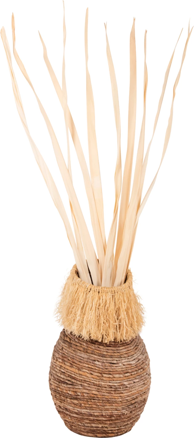 Dekorativni šopek iz posušenih listov meča FH7964 10 kosov naravni 120H cm