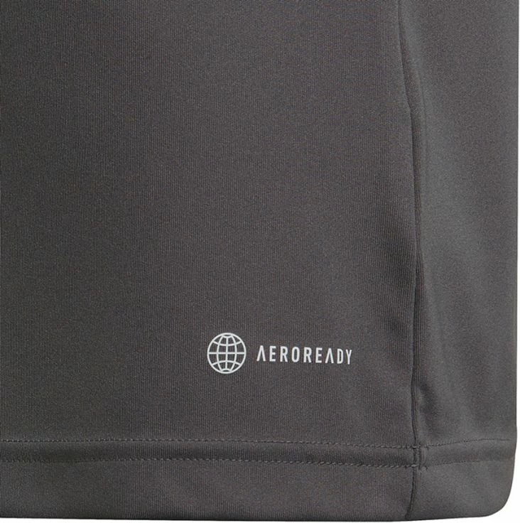 Trenirna majica za otroke Entrada 22, adidas, siva