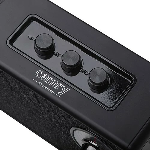 Prenosni Bluetooth zvočnik Camry CR1902, FM, USB-C, črn