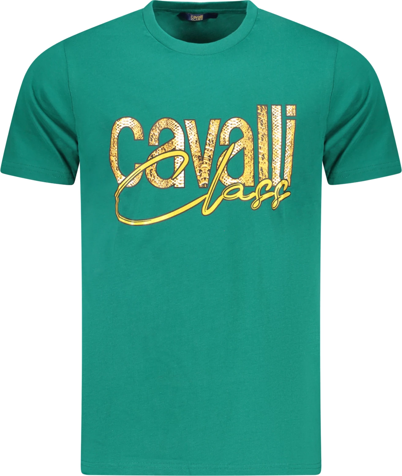 Moška majica, zelena CAVALLI CLASS