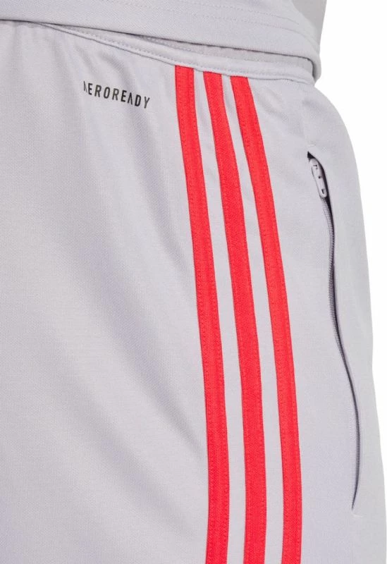 Športne hlače za moške adidas, sive