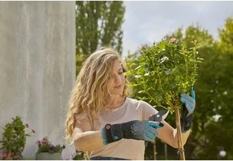 Vrtne rokavice Gardena Rosenhandschuh, L, črno/modro/sive