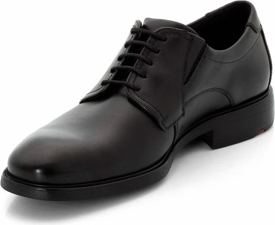 Elegantne moške čevlje Lloyd, črni