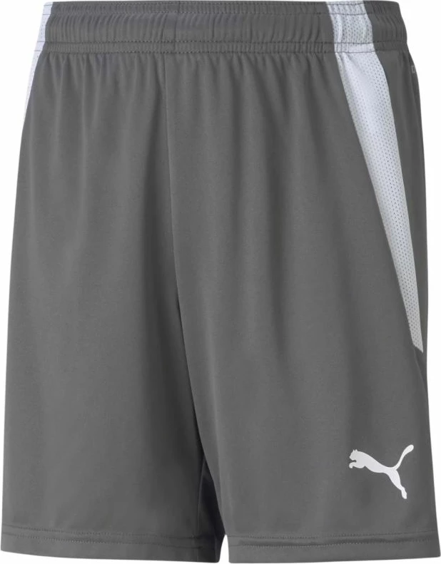 Kratke hlače za otroke Puma, sive
