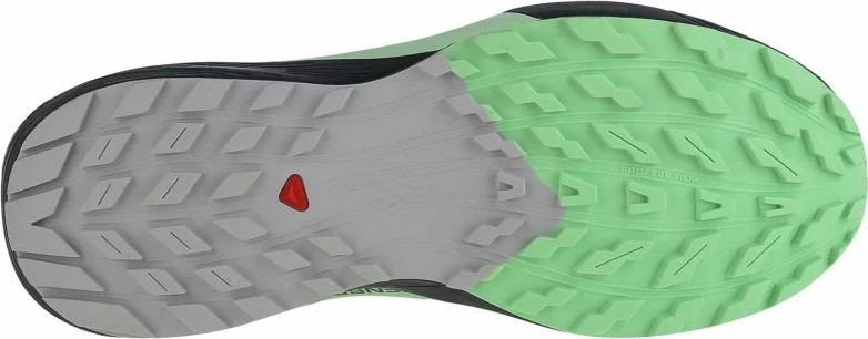 Atletski čevlji za tek Salomon Sense Ride 5 GTX, modri