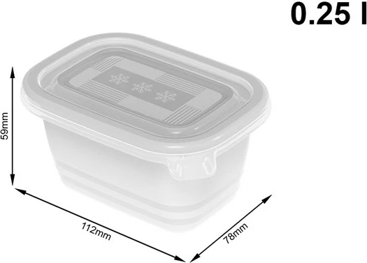 Posode za zamrzovanje, Rotho Freeze, 6x250 ml, prozorne