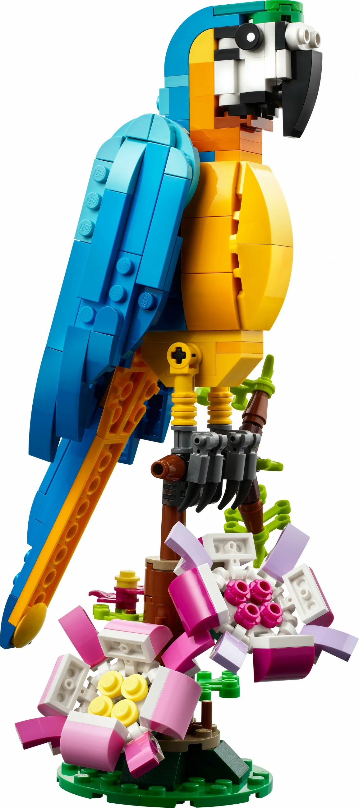 Set gradnje 3-v-1 ekzotični papagaj, LEGO Creator, 253 delov, večbarven