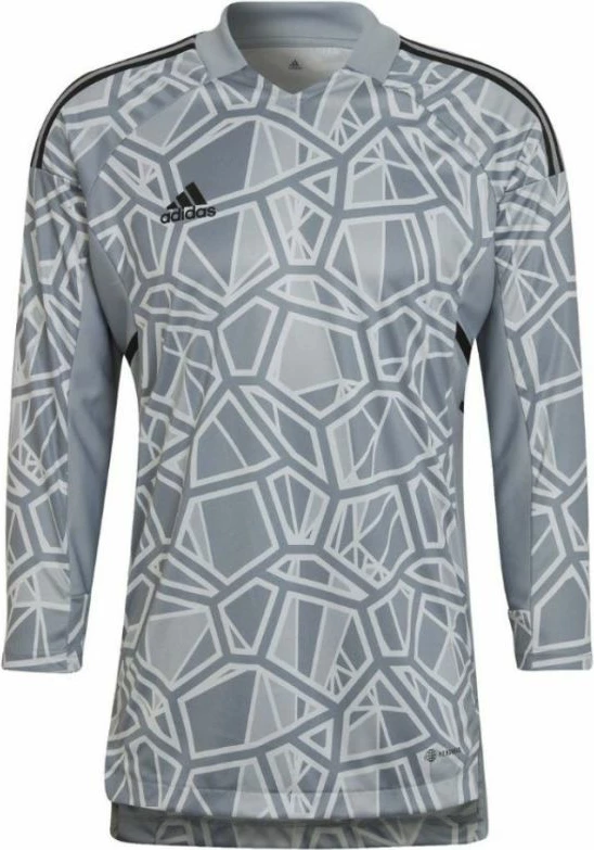 Dres za vratarje Condivo 22, dolgi rokavi, moški, siv, Adidas HB1614