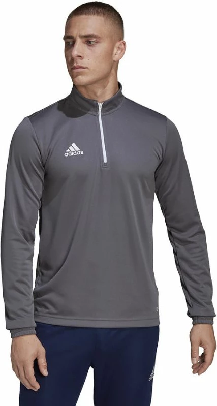 Duks za moške adidas Entrada 22, siv