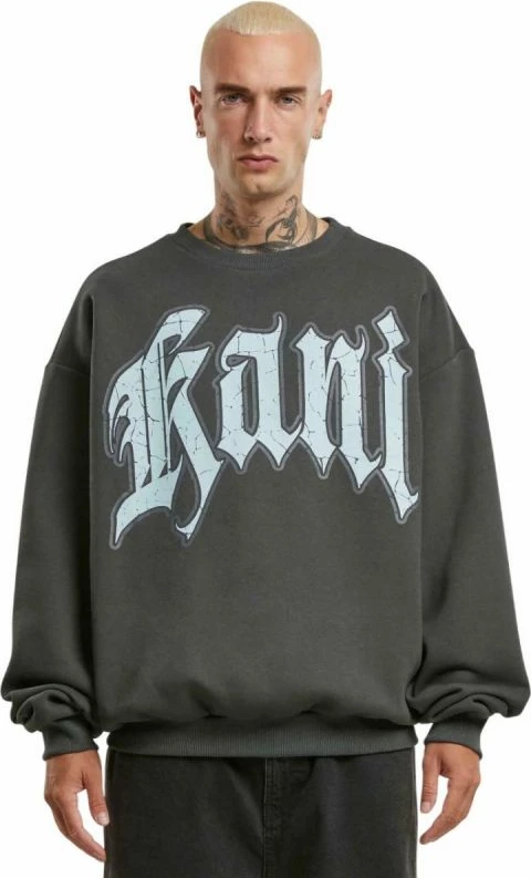 Duks za moške Karl Kani, siv