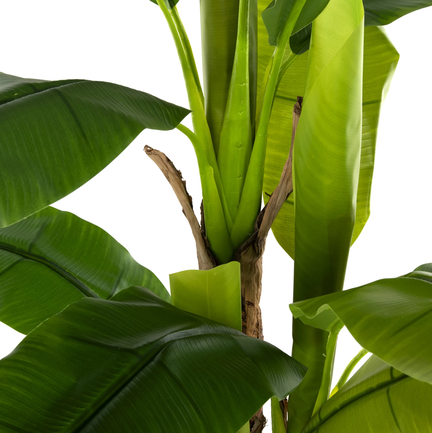 Dekorativna sintetična rastlina FH7977 banana drevo v loncu 150H cm