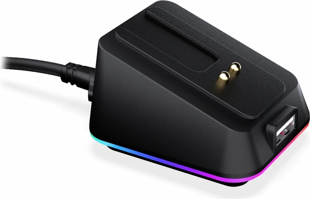 Polnilna postaja miške Endorfy Mouse Dock, RGB, USB-C, črna