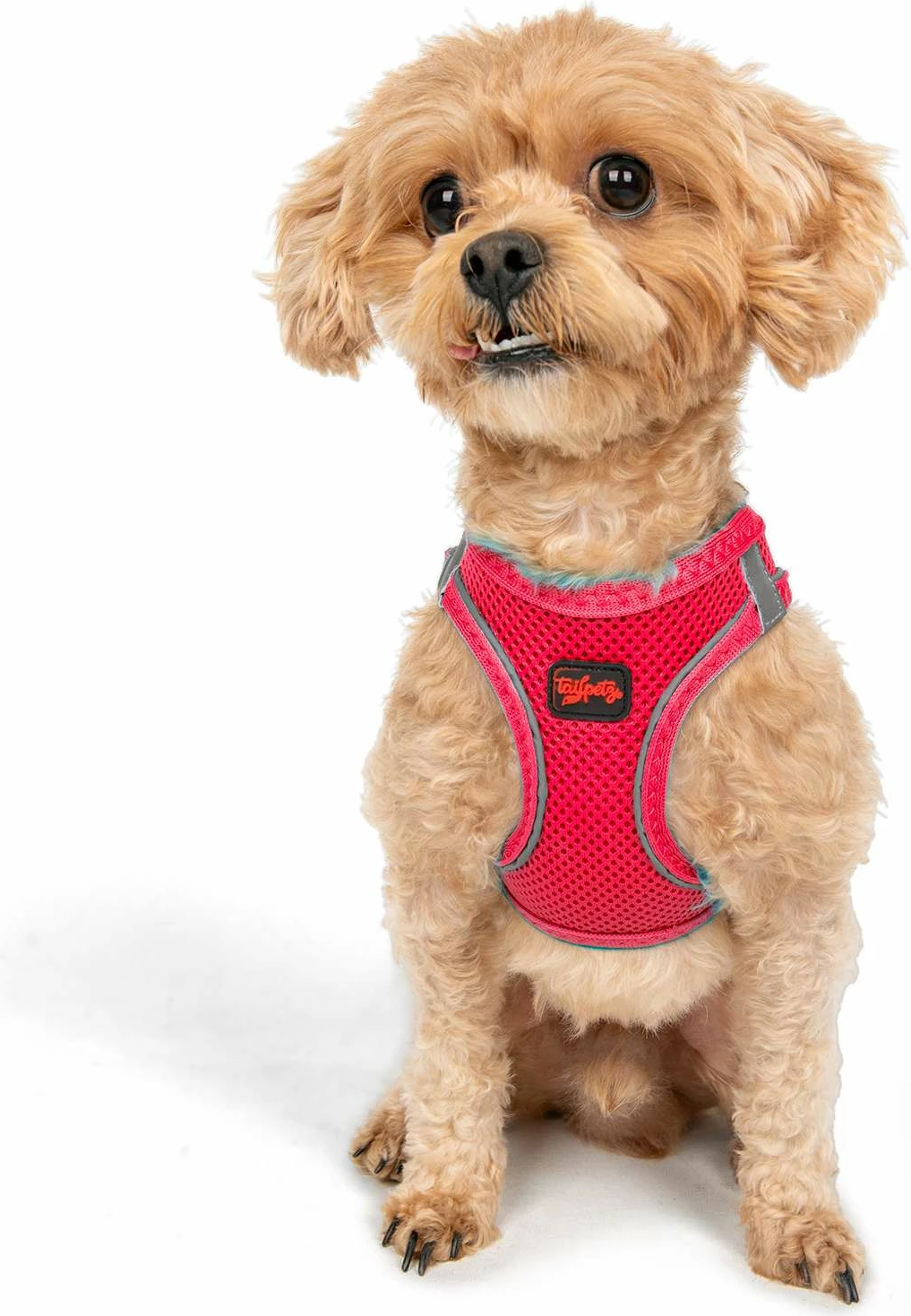 Oprsnica za psa, Air-Mesh, Neo Pink, Paws & Whiskers