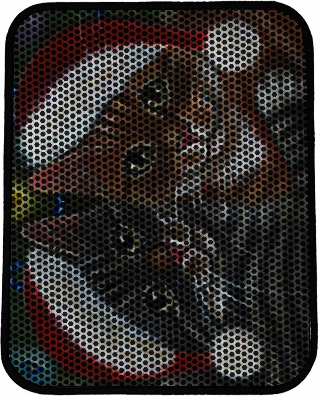 Preproga za mačji pesek, večbarvna, Paws & Whiskers, Nrszn0165, 45x60 cm