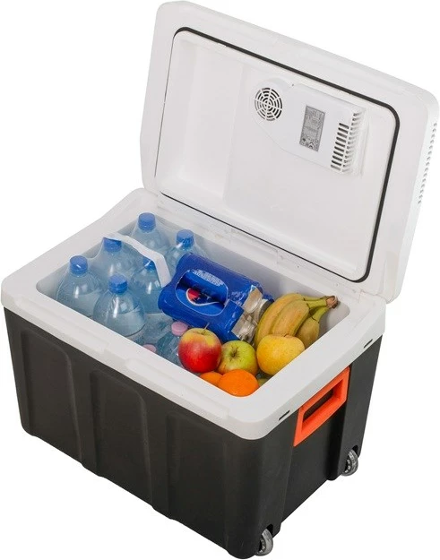 Prenosni hladilnik 40 L, Adler AD 8090, črno/bel