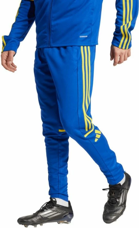 Trening hlače za moške adidas Squadra 25, modro-rumene
