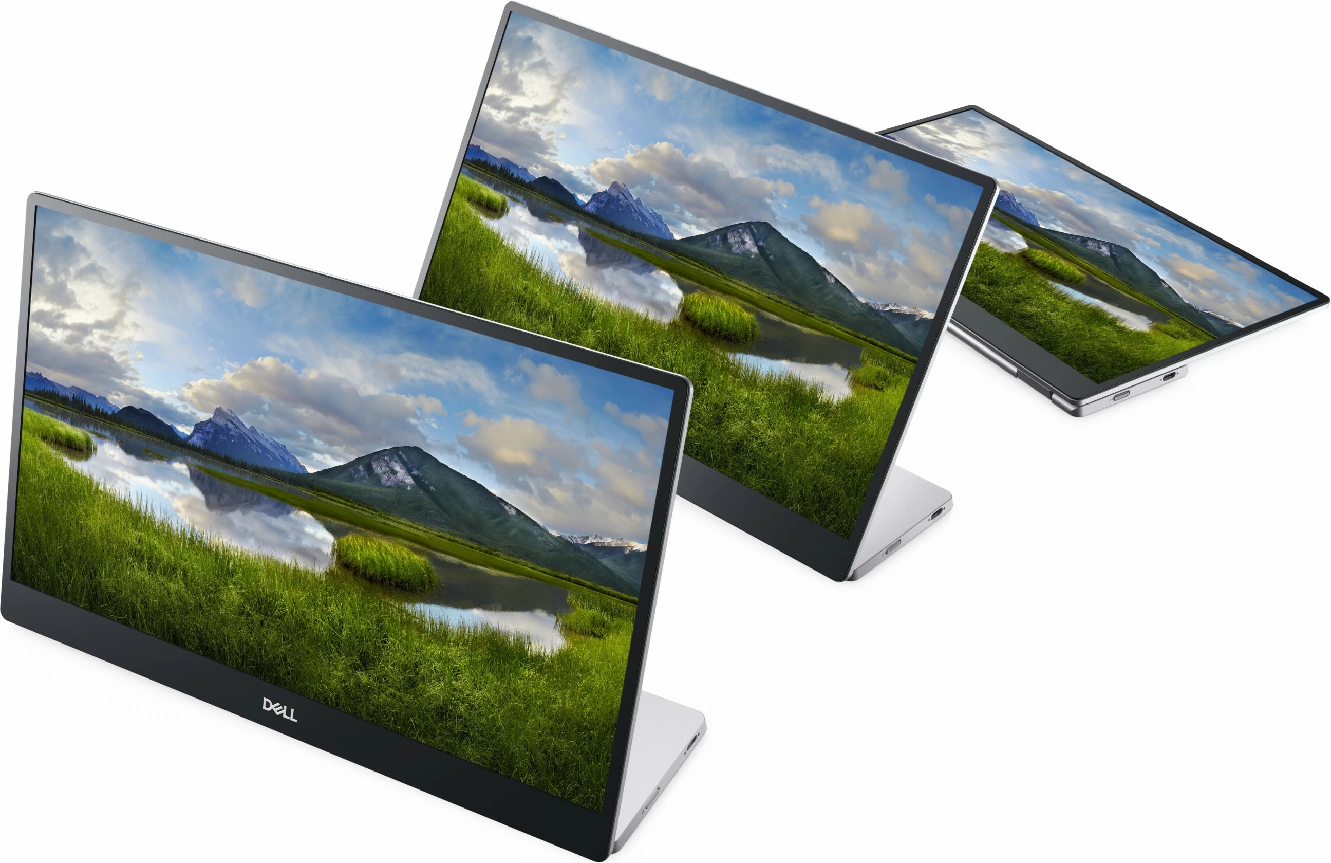Prenosni 14'' FHD IPS zaslon, Dell P1424H, črn