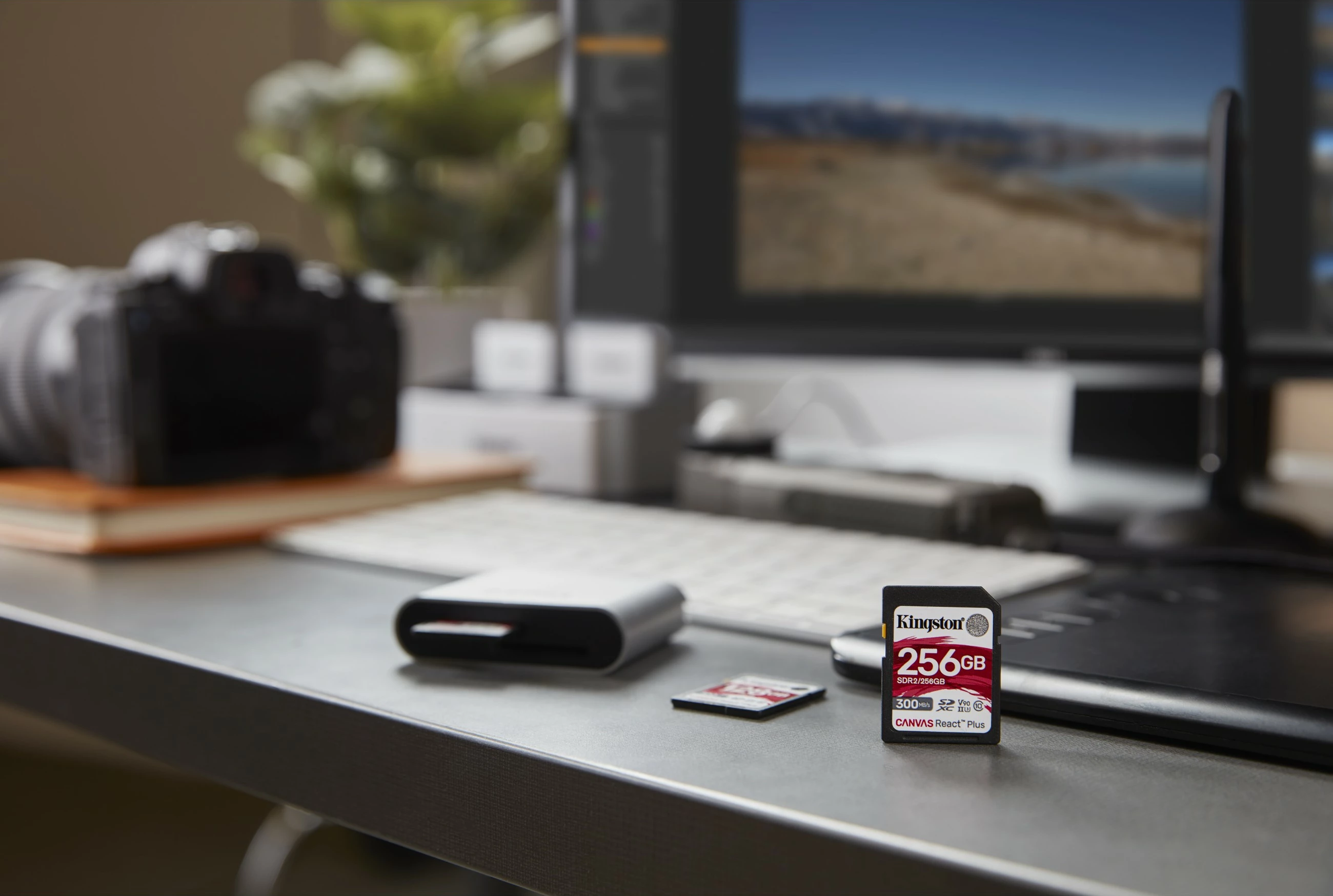 SD kartica 256 GB, Kingston Canvas React Plus, UHS-II, 300R/260W, črna