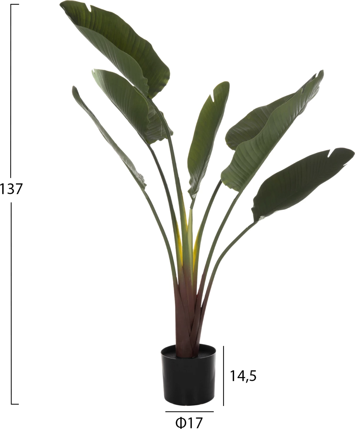 Dekorativna sintetična rastlina v loncu FH7981 Strelitziaceae Φ17x14,5-137Hcm