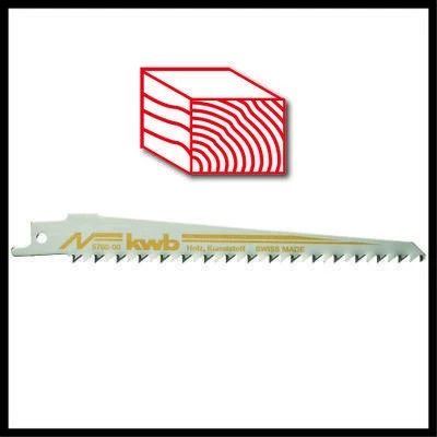 Reciprocna žaga, Einhell TE-AP 18/28 Li BL Solo, brezkrtačna, 18 V, brez kabla, črno/rdeča