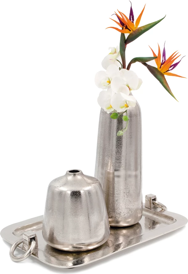 Dekorativni pladenj z ročaji, aluminij, srebrne barve, 46x32x6 cm