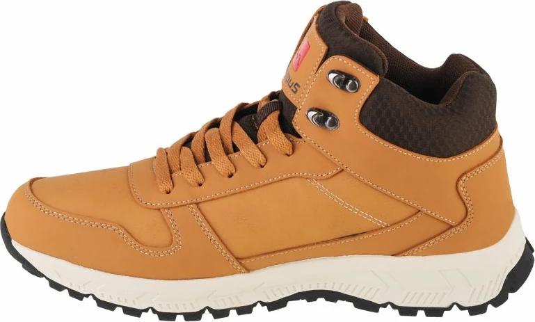 Čizme, Campus, rjave za moške