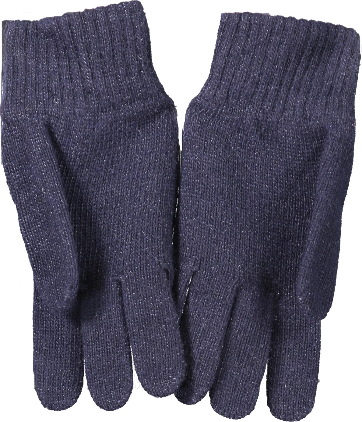 Rokavice za moške NORTH SAILS, modre