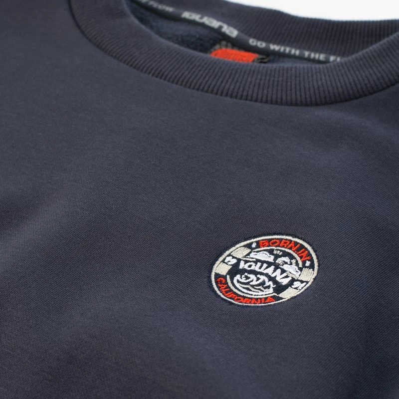 Pulover za moške Iguana, grafit