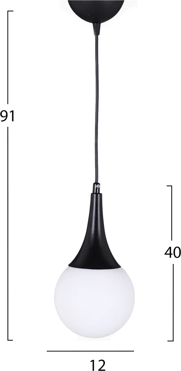 Kovinska stropna svetilka v črni barvi FH7517.01 12x91 cm