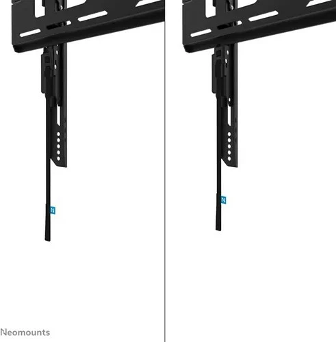 Stenski nosilec za TV Neomounts WL30-750BL14 LEVEL-750, do 75", 100 kg, VESA 100x100-400x400, jeklo, črn